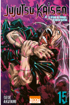 Jujutsu Kaisen Tome 15