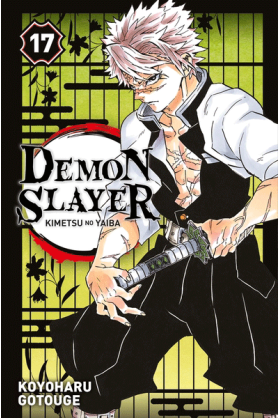 Demon Slayer Tome 17