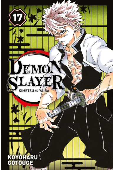 Demon Slayer Tome 17 Demon Slayer Tome 17