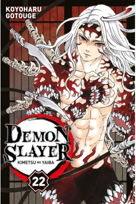 Demon Slayer Tome 22