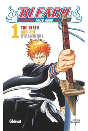 Bleach Tome 1