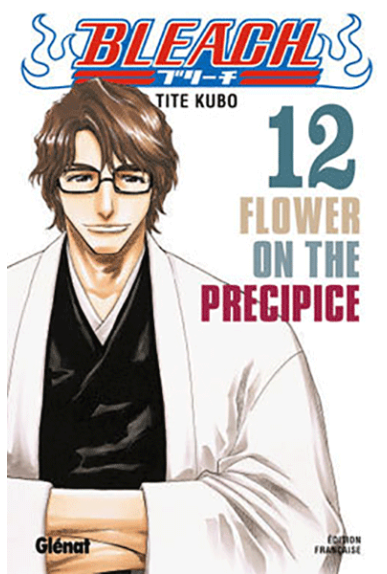 Bleach Tome 12