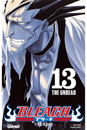 Bleach Tome 13