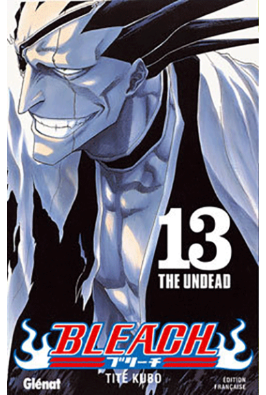 Bleach Tome 13