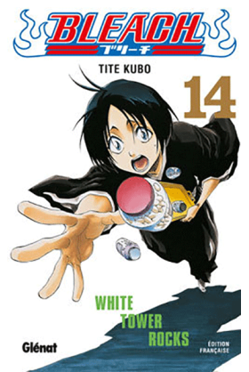 Bleach Tome 14