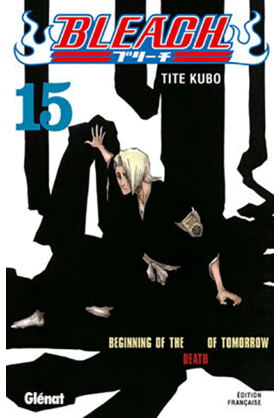 Bleach Tome 15