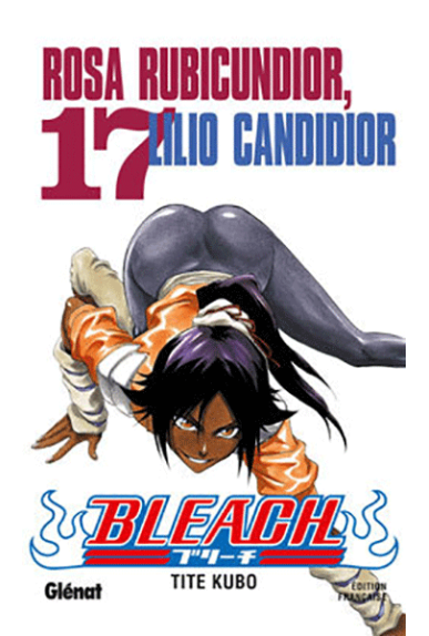 Bleach Tome 17