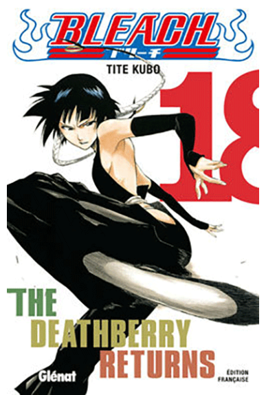 Bleach Tome 18 Bleach Tome 18