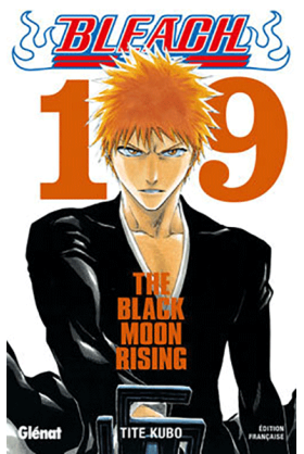 Bleach Tome 19