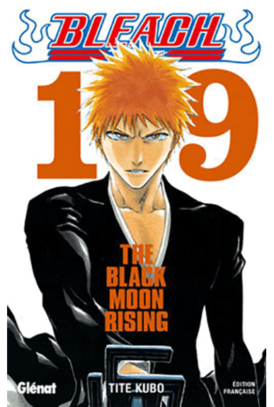 Bleach Tome 19