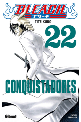 Bleach Tome 22