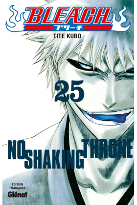 Bleach Tome 25