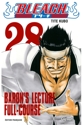 Bleach Tome 28