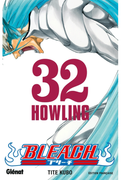 Bleach Tome 32