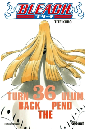 Bleach Tome 36