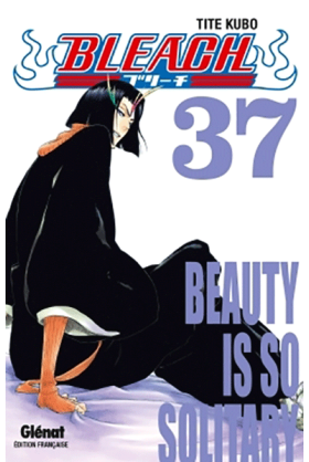 Bleach Tome 37