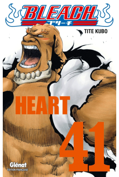 Bleach Tome 41 Bleach Tome 41