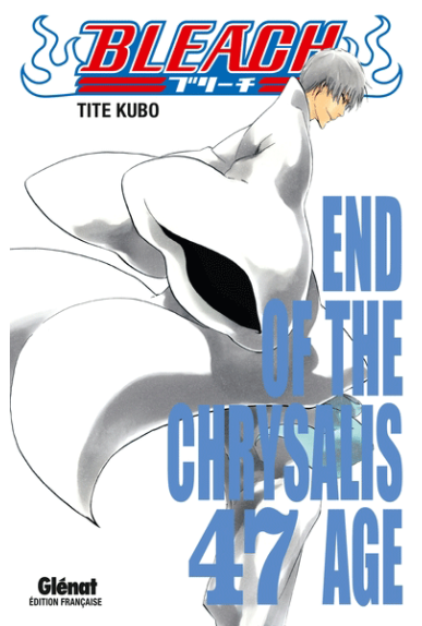 Bleach Tome 47 Bleach Tome 47