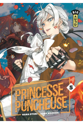 Princesse Puncheuse Tome 5