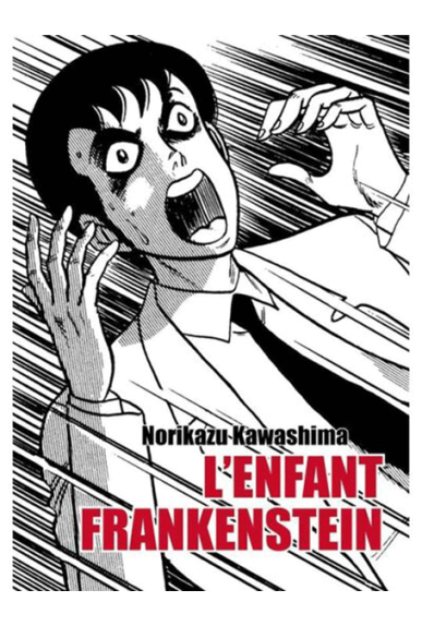 L'enfant Frankenstein L'enfant Frankenstein