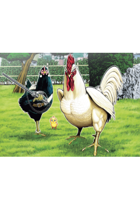 Rooster Fighter : Coq de...