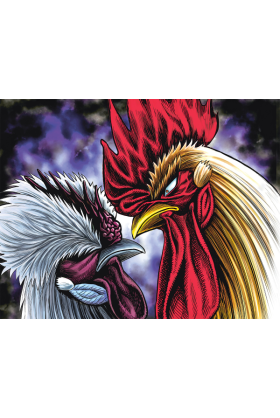 Rooster Fighter : Coq de...