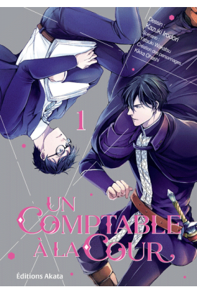 Un comptable à la cour Tome 1