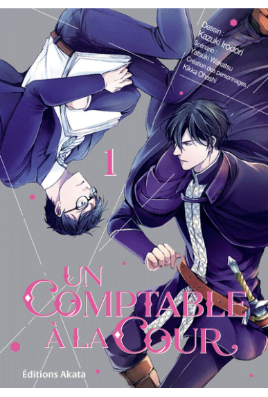 Un comptable à la cour Tome 1 Un comptable à la cour Tome 1