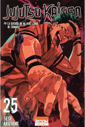 Jujutsu Kaisen Tome 25