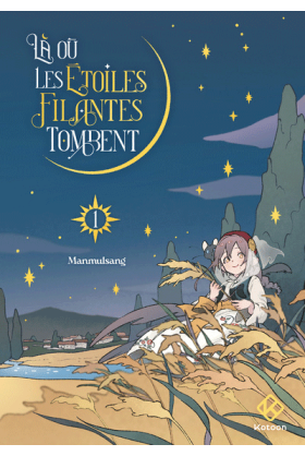Là où les étoiles filantes...