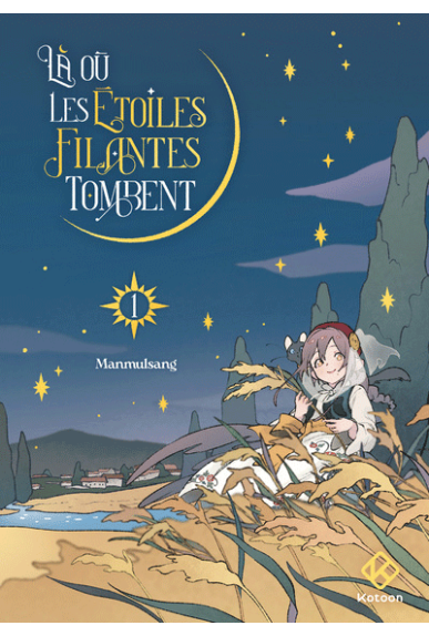 Là où les étoiles filantes...