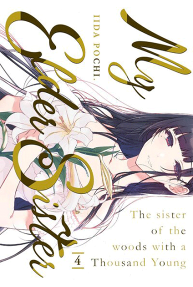 My Elder Sister Tome 4 My Elder Sister Tome 4