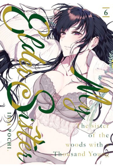 My Elder Sister Tome 6