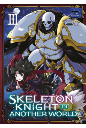 Skeleton Knight in Another...