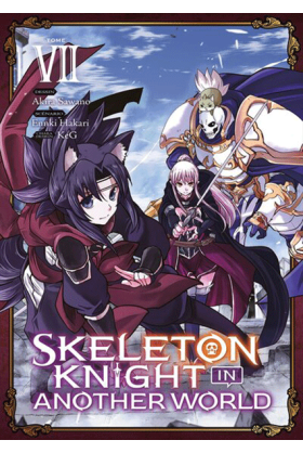 Skeleton Knight in Another...
