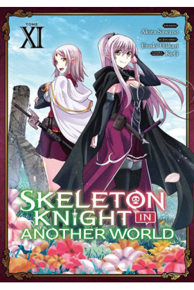 Skeleton Knight in Another...