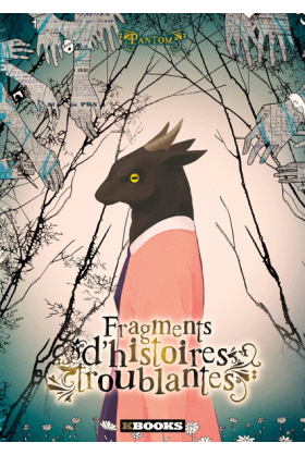 Fragments d'histoires...