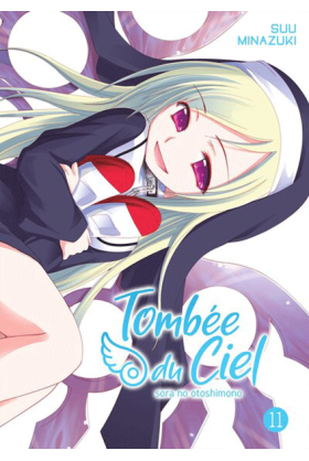 Tombée du Ciel Tome 11