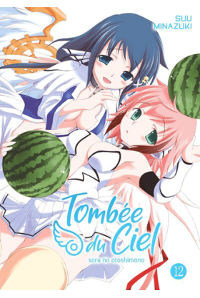 Tombée du Ciel Tome 12