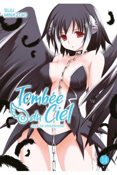 Tombée du Ciel Tome 14