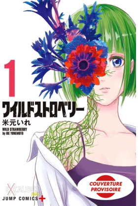 Wild Strawberry Tome 1