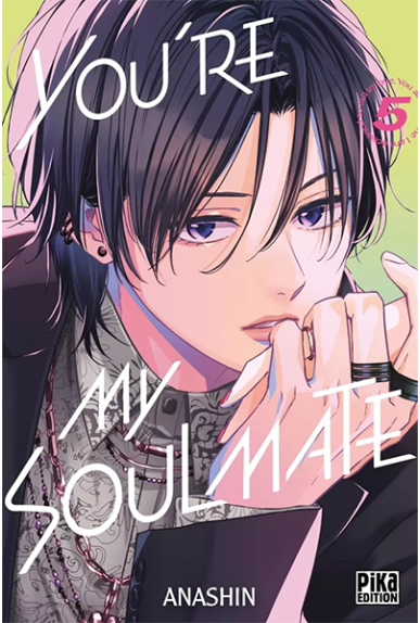 You're My Soulmate Tome 5 You're My Soulmate Tome 5