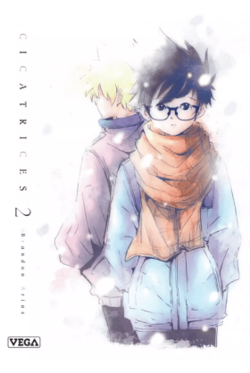 Cicatrices Tome 2