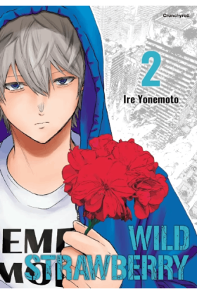 Wild Strawberry Tome 2