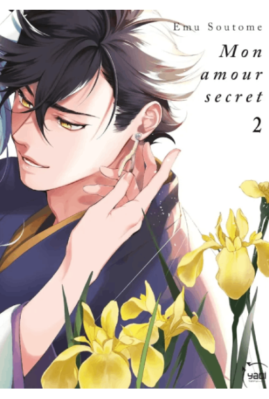 Mon amour secret Tome 2 Mon amour secret Tome 2