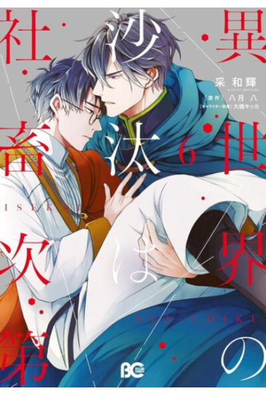Un comptable à la cour Tome 6 Un comptable à la cour Tome 6