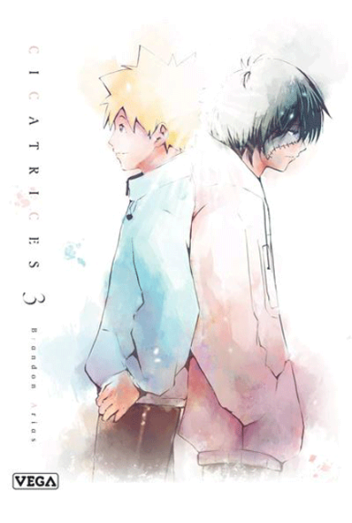 Cicatrices Tome 3 Cicatrices Tome 3