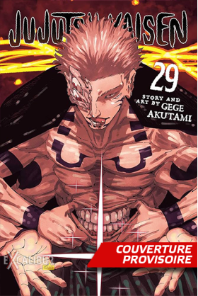 Jujutsu Kaisen Tome 29