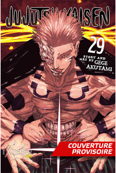 Jujutsu Kaisen Tome 29 Jujutsu Kaisen Tome 29